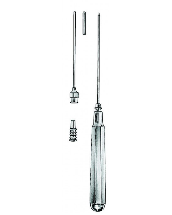 SH- 03-1256-19