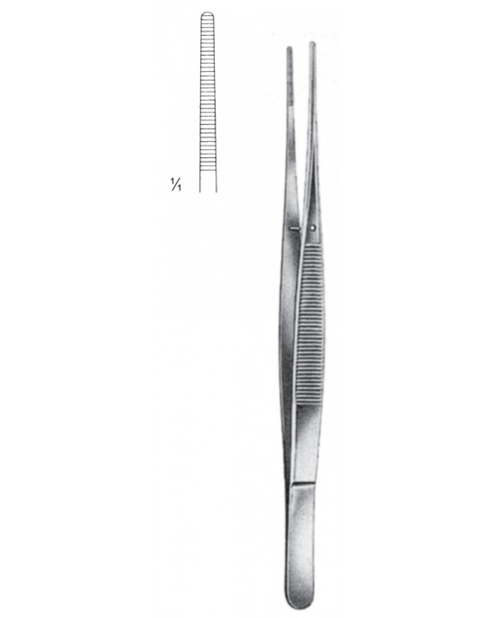 SH- 08-2020-21