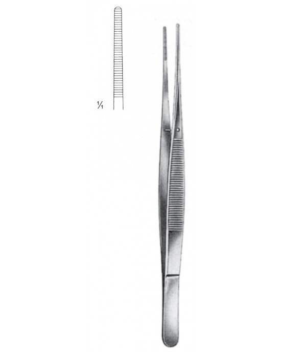 SH- 08-2020-25