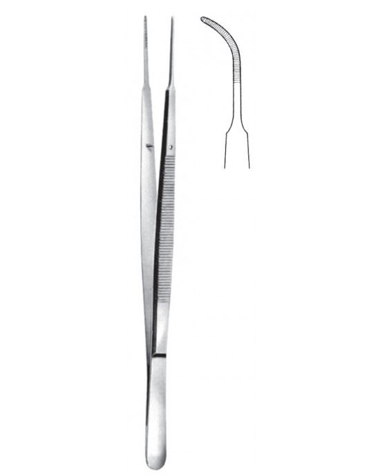 SH- 08-2025-18
