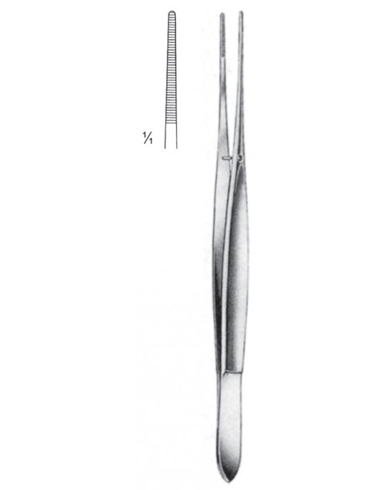 SH- 08-2028-17