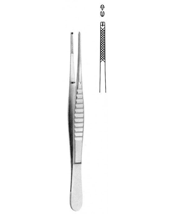 SH- 08-2031-20