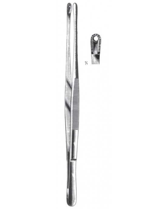 SH- 08-2113-25