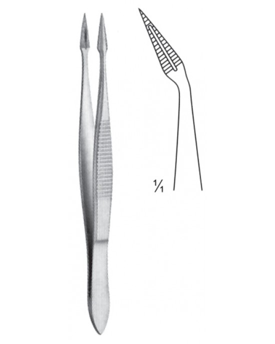 SH- 08-2132-10