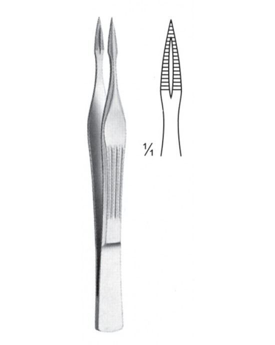 SH- 08-2133-10