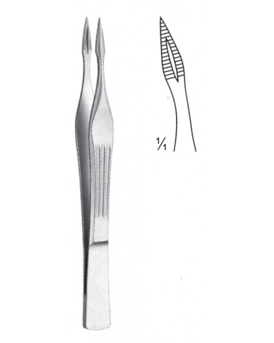 SH- 08-2134-10