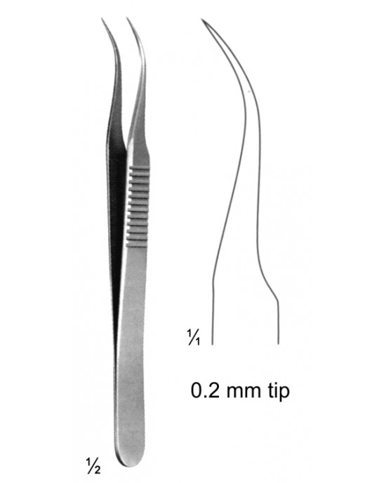 SH- 08-2150-10