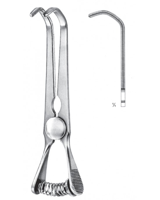 SH- 08-2168-10