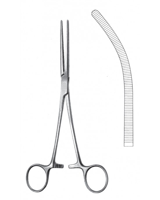 SH- 11-2562-24