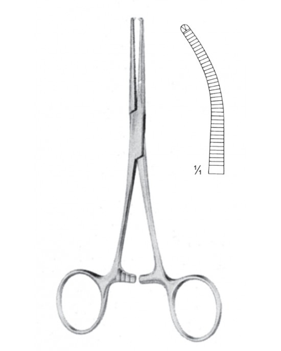 SH- 11-2567-13