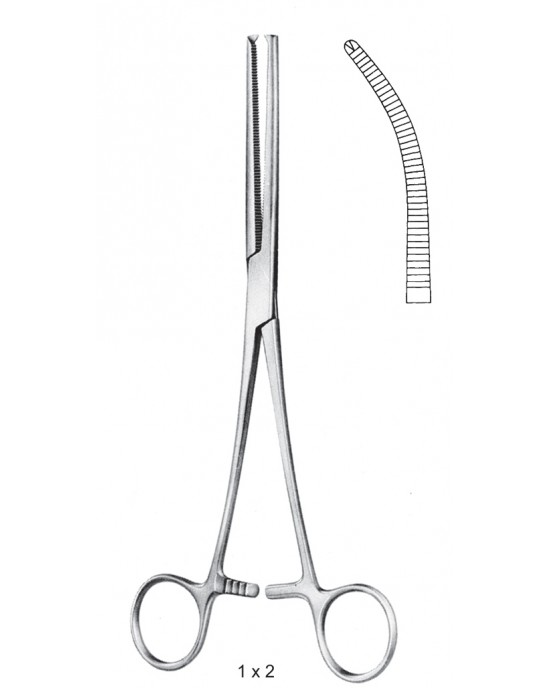 SH- 11-2572-13