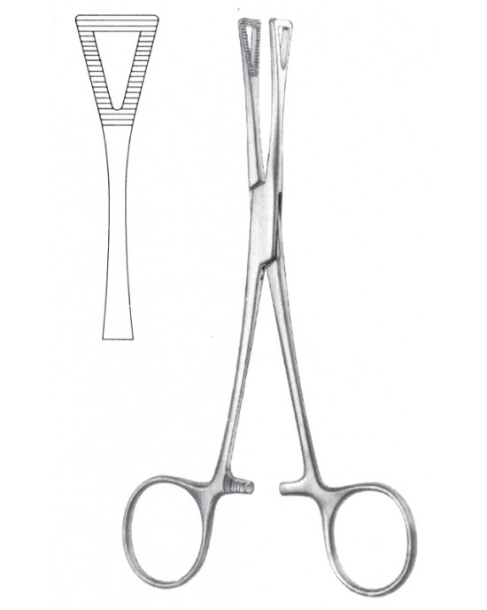 SH- 11-2595-20