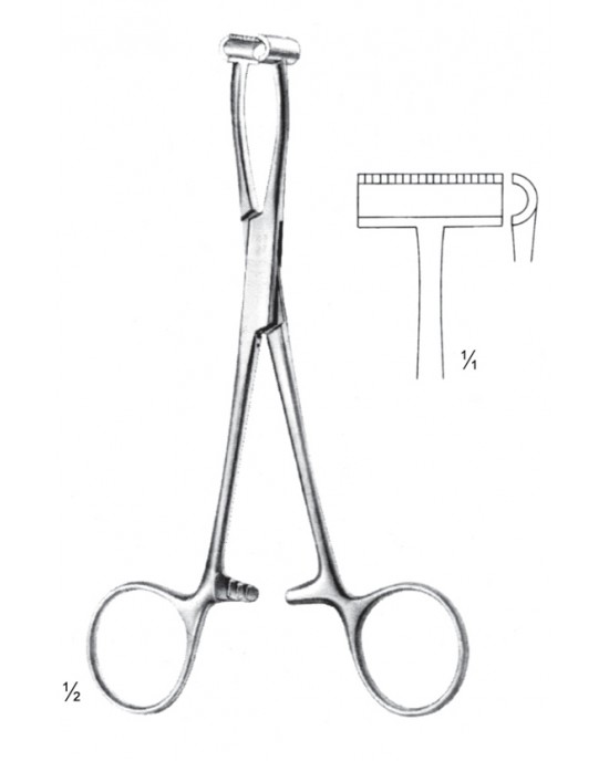 SH- 11-2596-15