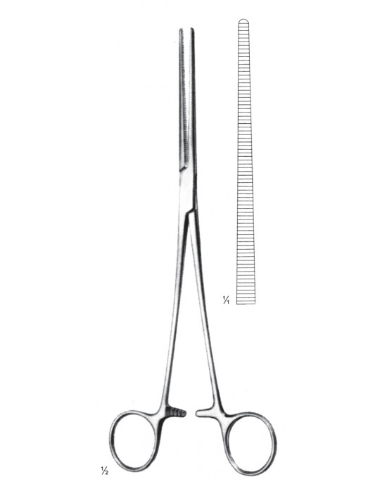 SH- 11-2646-24