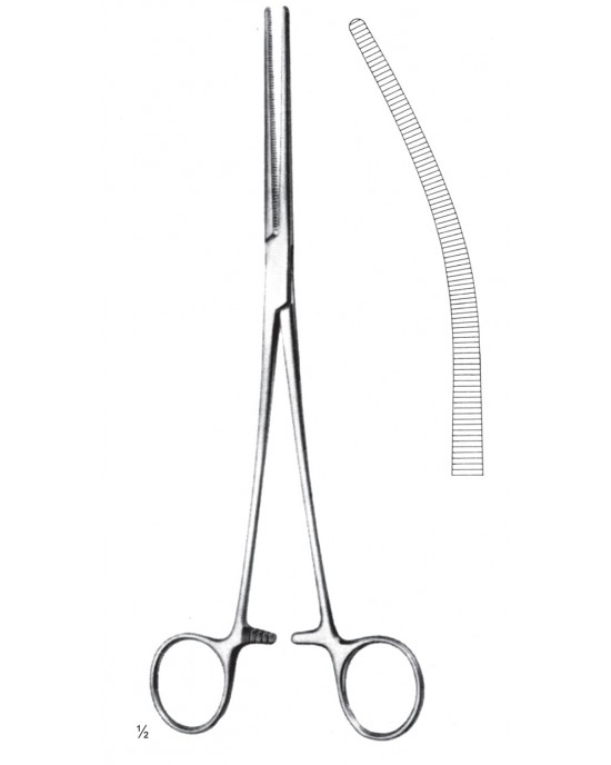 SH- 11-2647-24