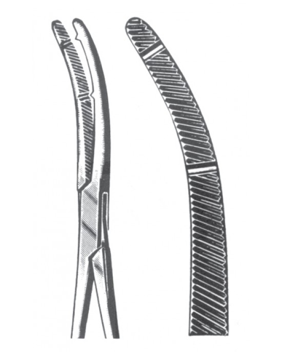 SH- 11-2699-19