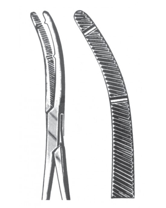 SH- 11-2699-21