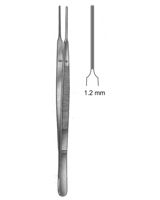 SH- 19-5503-15