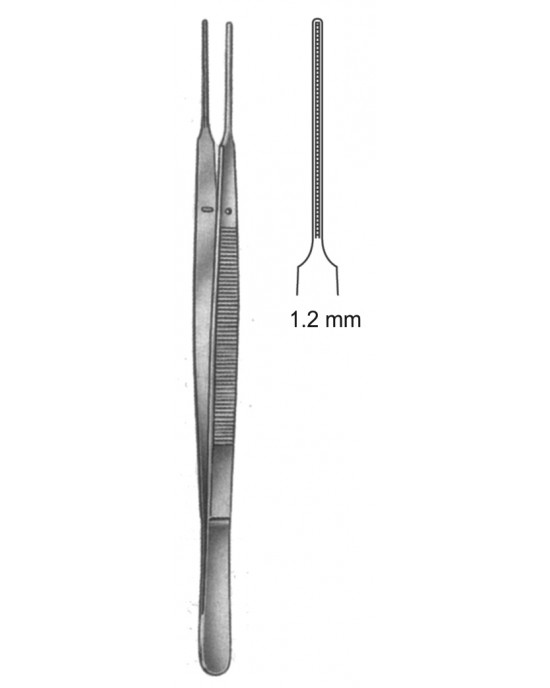SH- 19-5503-18