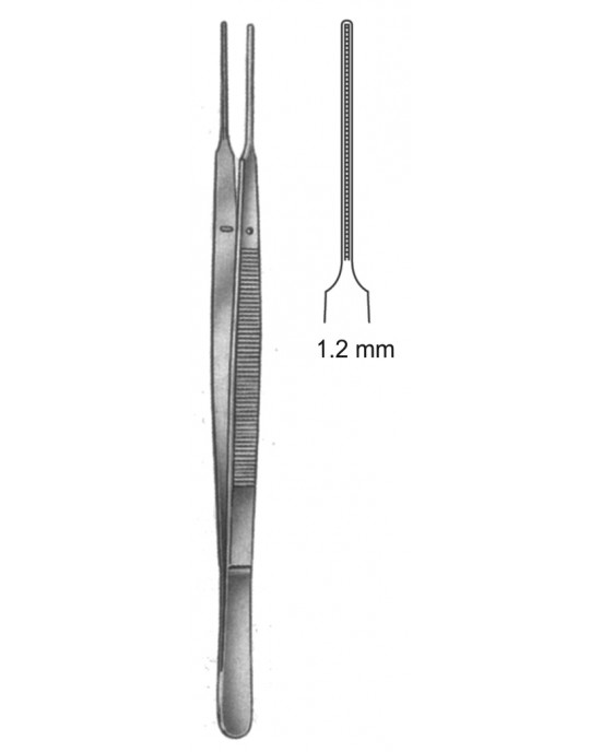 SH- 19-5503-24