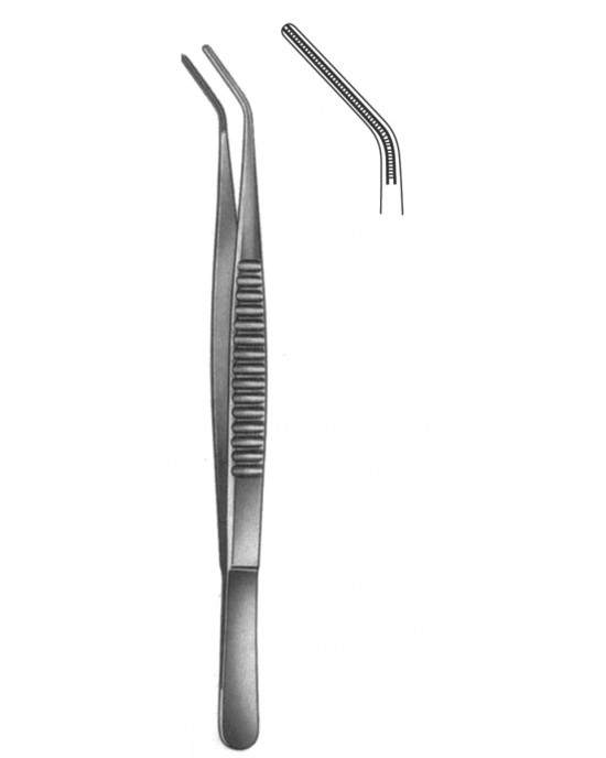 SH- 19-5513-20