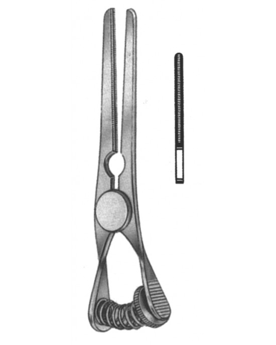 SH- 19-5519-05
