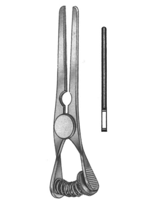 SH- 19-5519-06