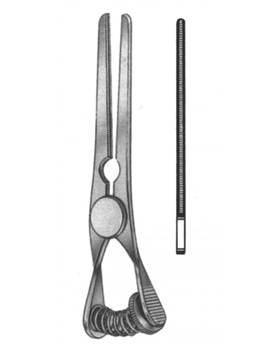 SH- 19-5519-08
