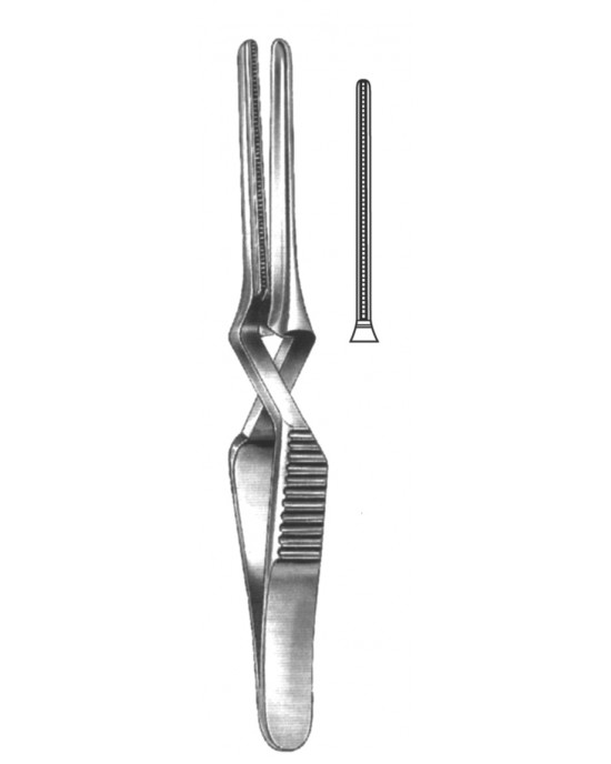 SH- 19-5529-08