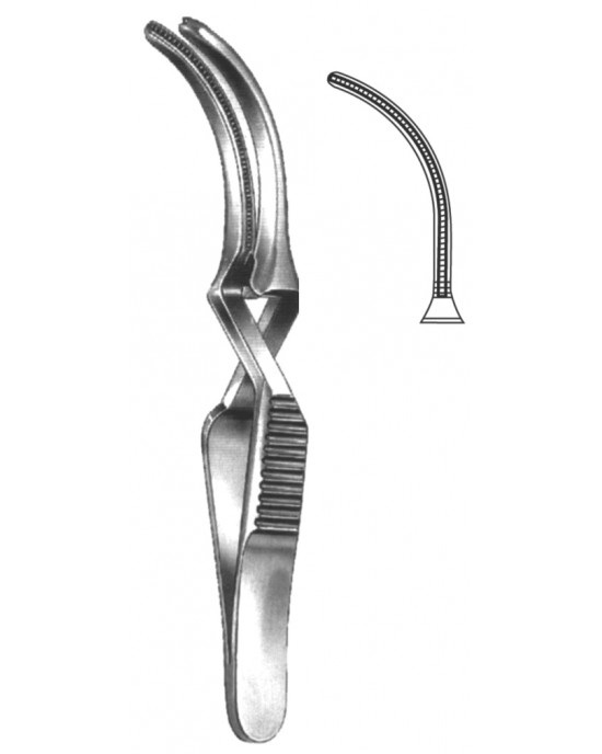 SH- 19-5530-08
