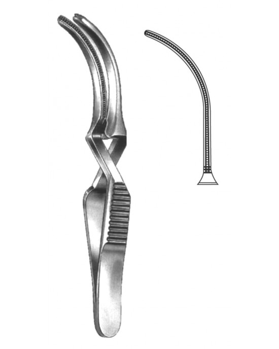 SH- 19-5530-10