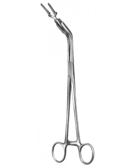 SH- 19-5531-23