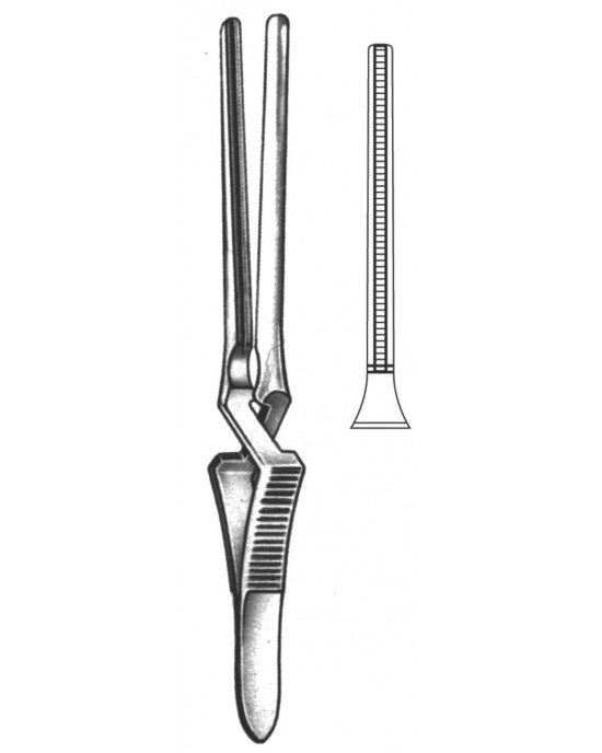 SH- 19-5532-11