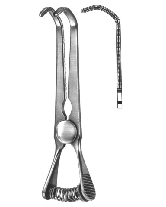 SH- 19-5537-10