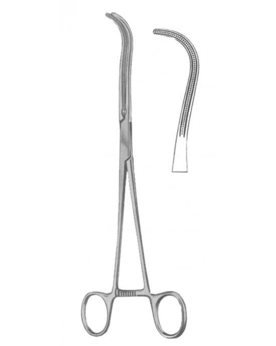 SH- 19-5543-19