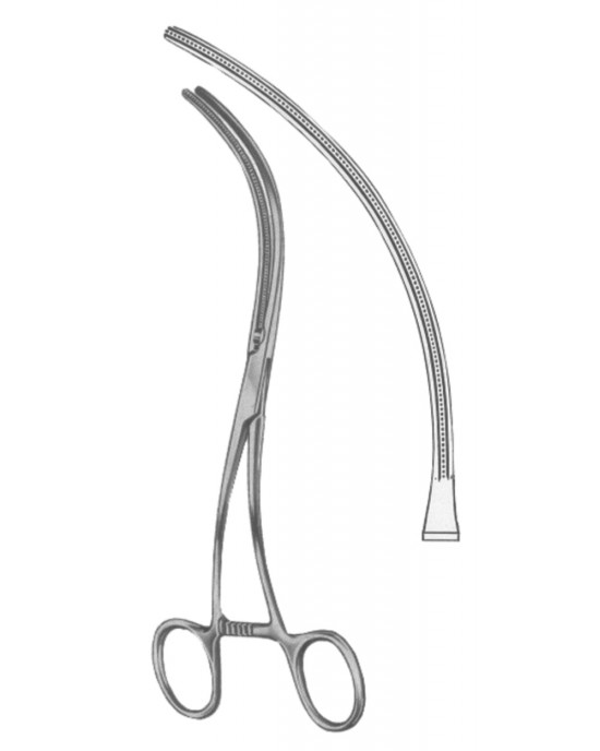 SH- 19-5544-20