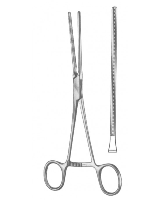 SH- 19-5545-01