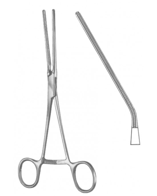SH- 19-5545-03