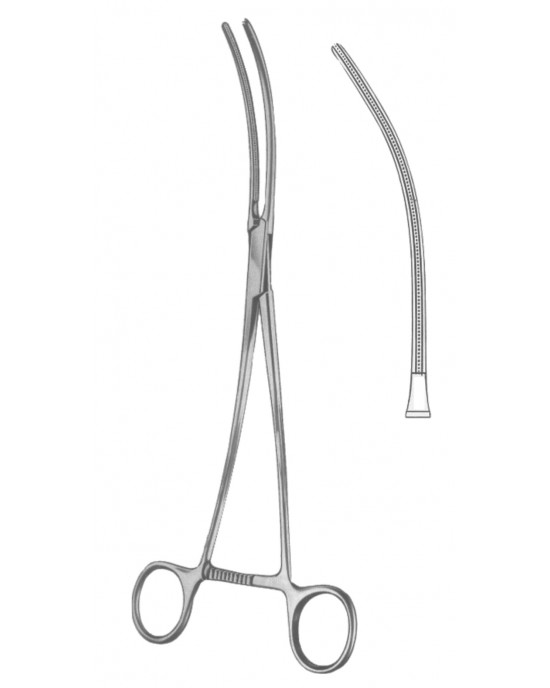 SH- 19-5547-24