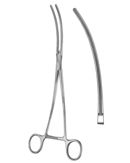 SH- 19-5547-31