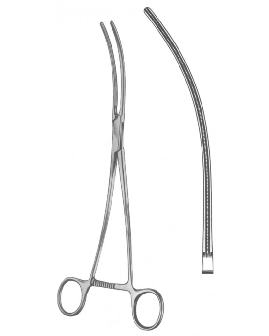 SH- 19-5547-33