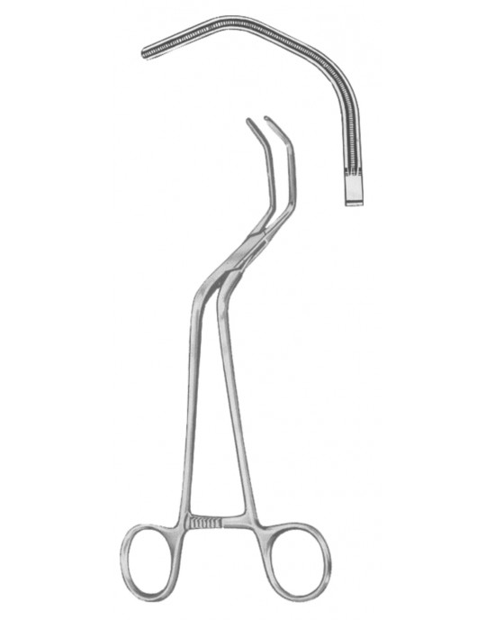 SH- 19-5553-21