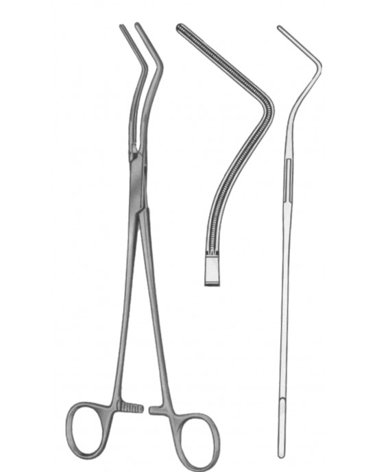 SH- 19-5560-25
