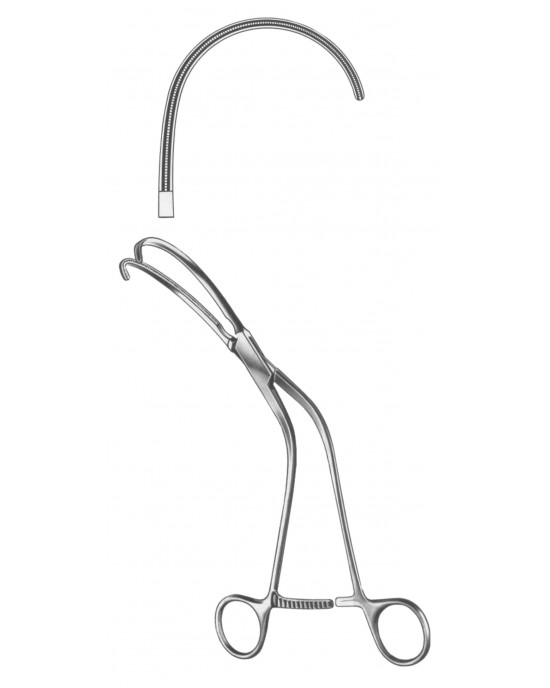 SH- 19-5565-01