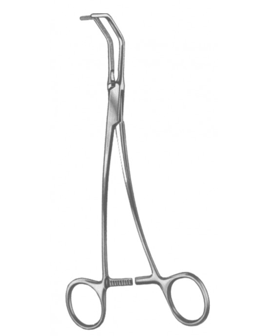 SH- 19-5568-00