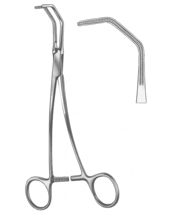 SH- 19-5568-20