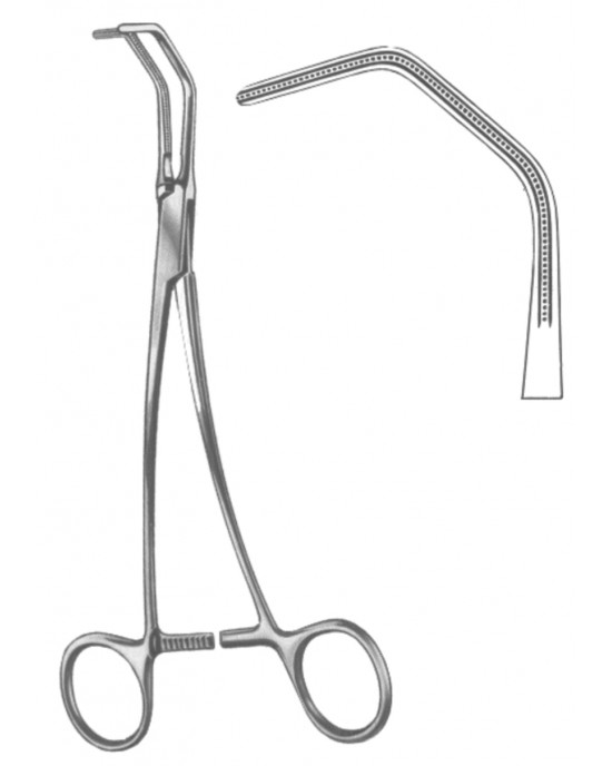 SH- 19-5568-25