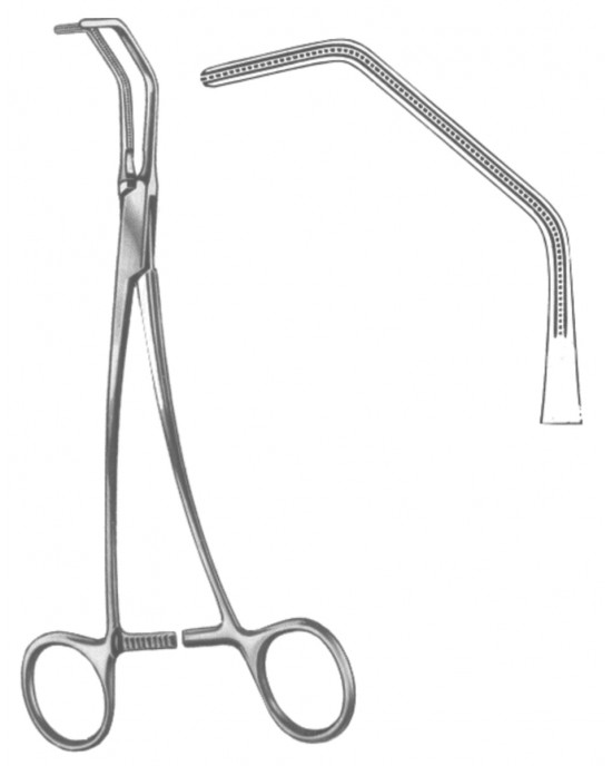 SH- 19-5568-26