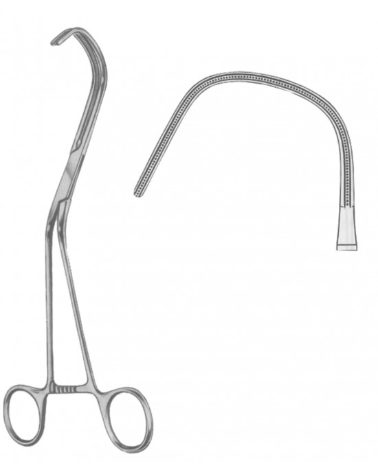 SH- 19-5572-21
