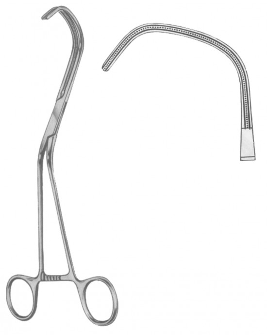 SH- 19-5572-22